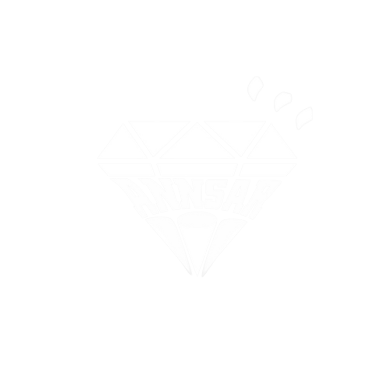 LOGO BLANCO SIN FONDO